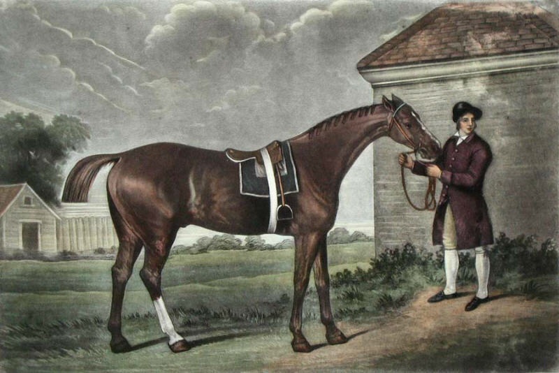 history of horseriding